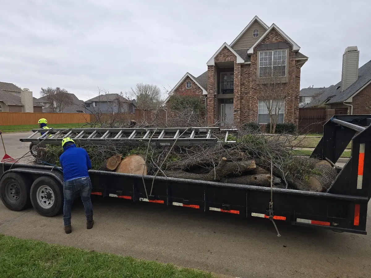 Expert Tree Fertilization with proper safety equipment in Middle Bass